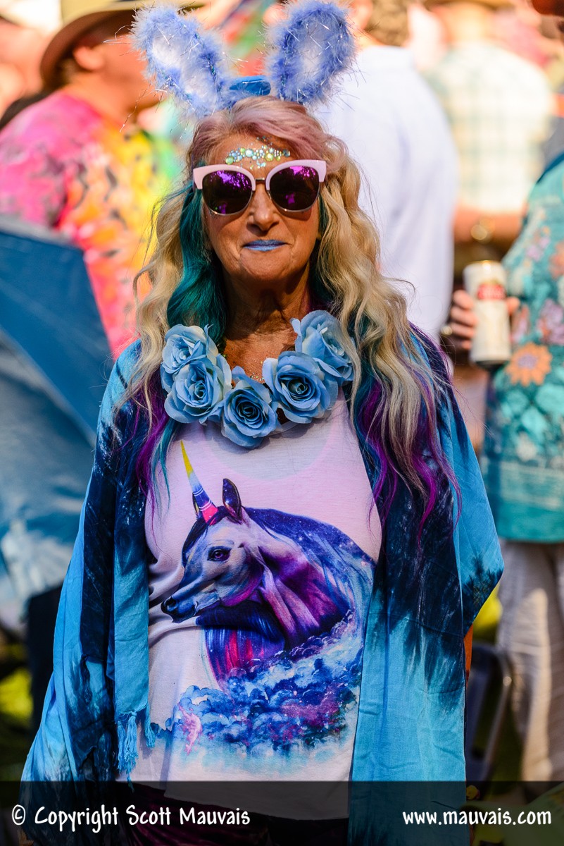 Hardly Strictly Bluegrass 2017 Patron