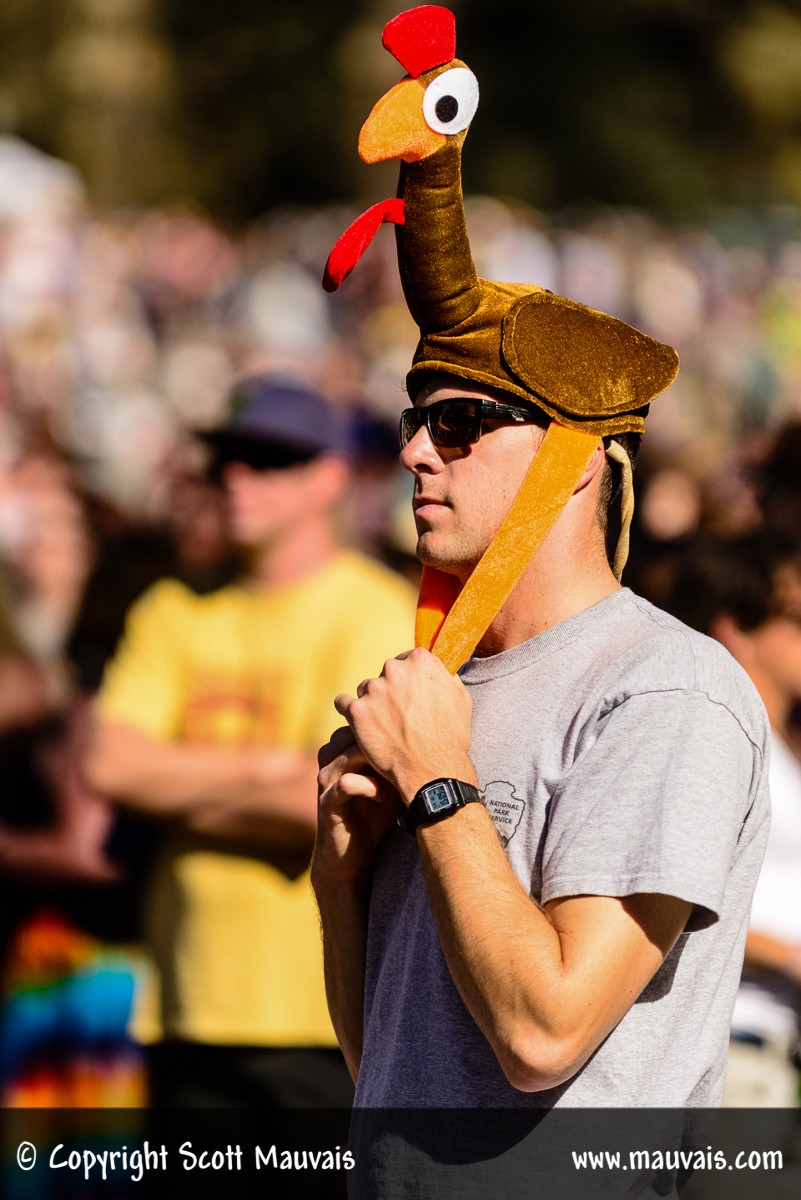 Hardly Strictly Bluegrass 2017 Patron