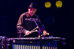 DJ Bonebrake with the Flesh Eaters at Great American Music Hall in San Francisco on January 9, 2015