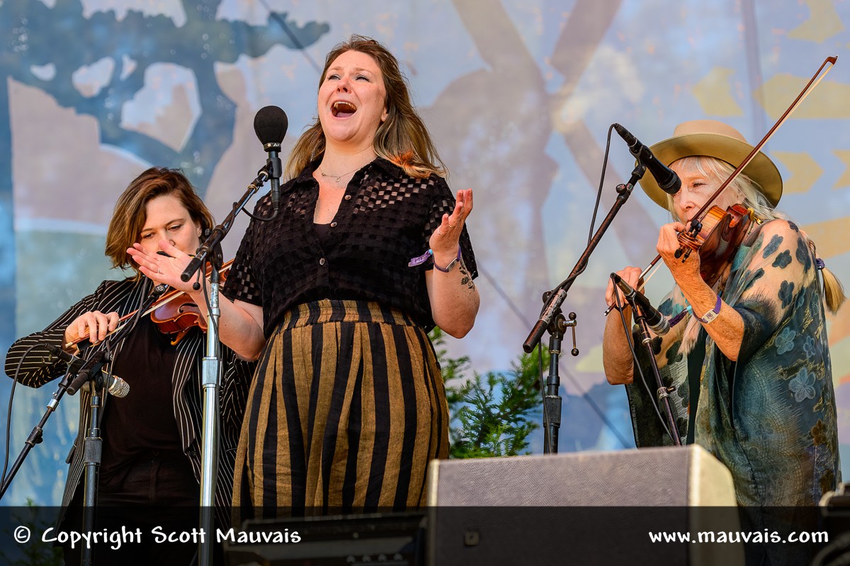  The Hazel Dickens Celebration in Golden Gate Park in San Francisco