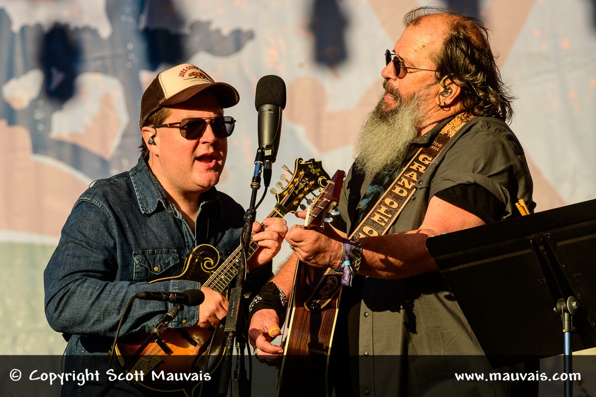 Steve Earle performs at Hardly Strictly Bluegrass 2025