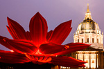 Inflatable Lotus with Lotus and San Francisco Civic Center in the background